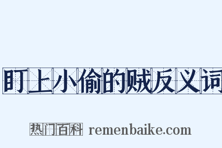 盯上小偷的贼反义词是什么意思的图片